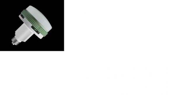 PAR30 LED 13W
